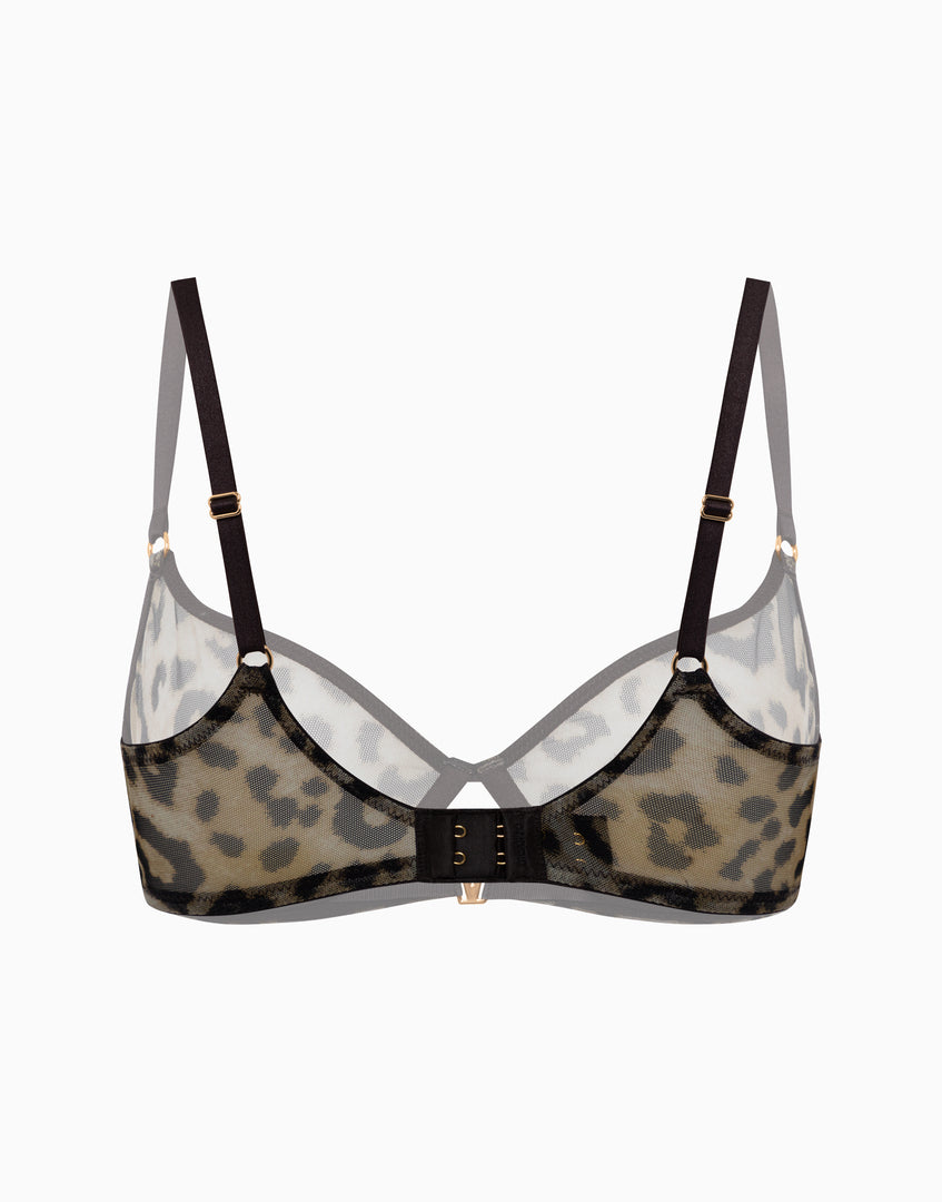 https://onwavecloud.it/incantoitaly/foto/pic_cd11749_869_leopard_6.jpg