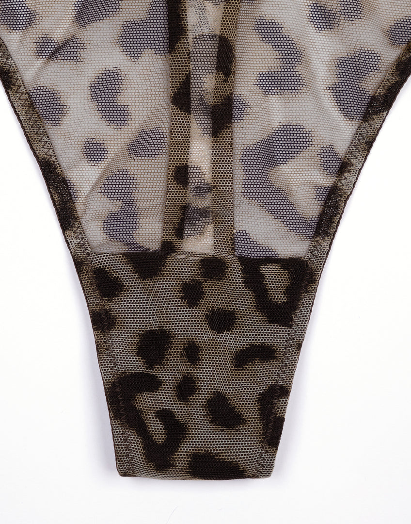 https://onwavecloud.it/incantoitaly/foto/pic_cd31941_869_leopard_5.jpg